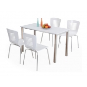 烤漆鋼木桌椅 ZY-GM094